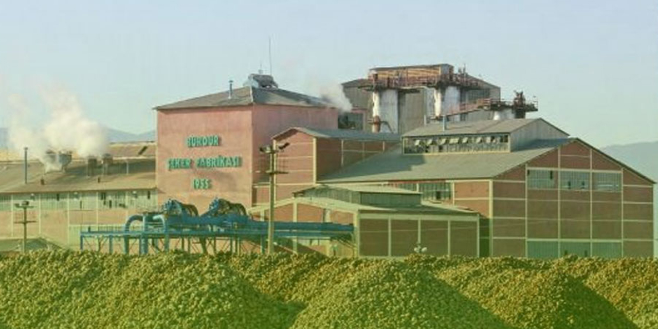 Türkşeker'de pancar mısır ve ayçiçeği alımları başladı