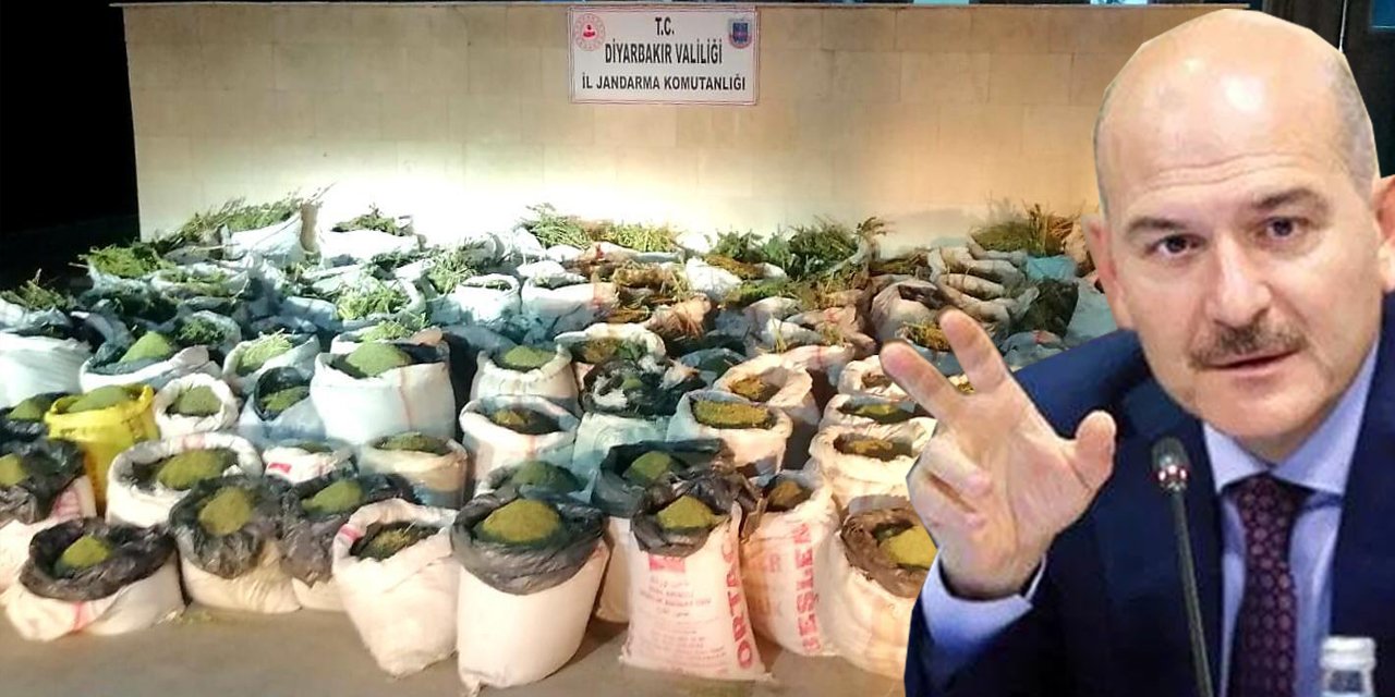 Bakan Soylu'dan gece yarısı açıklama! Lice'de tonlarca esrar milyonlarca kök kenevir ele geçirildi
