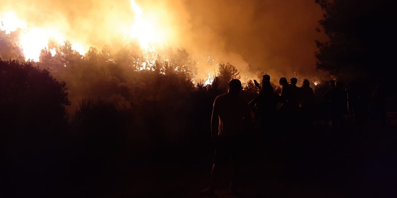 Ormanlık alanda çıkan yangına çok sayıda ekip müdahale ediyor