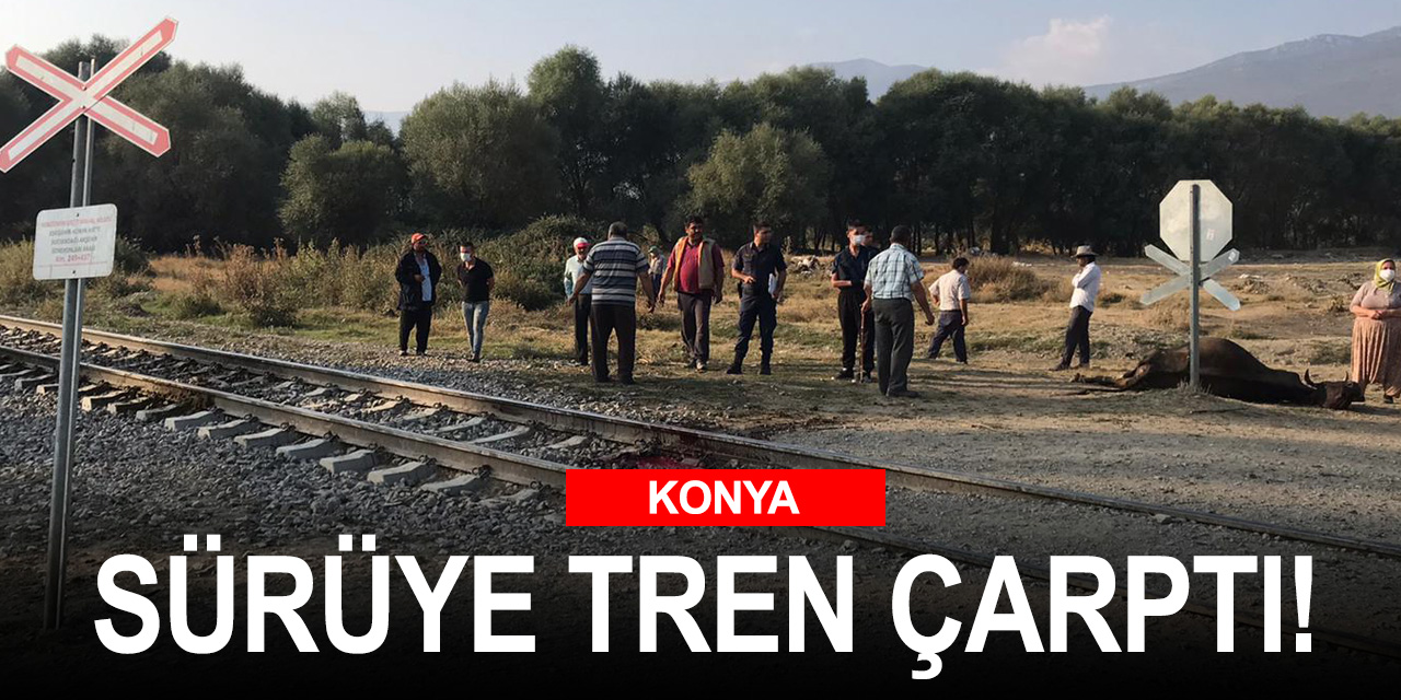 Konya'da büyükbaş hayvan sürüsüne yük treni çarptı