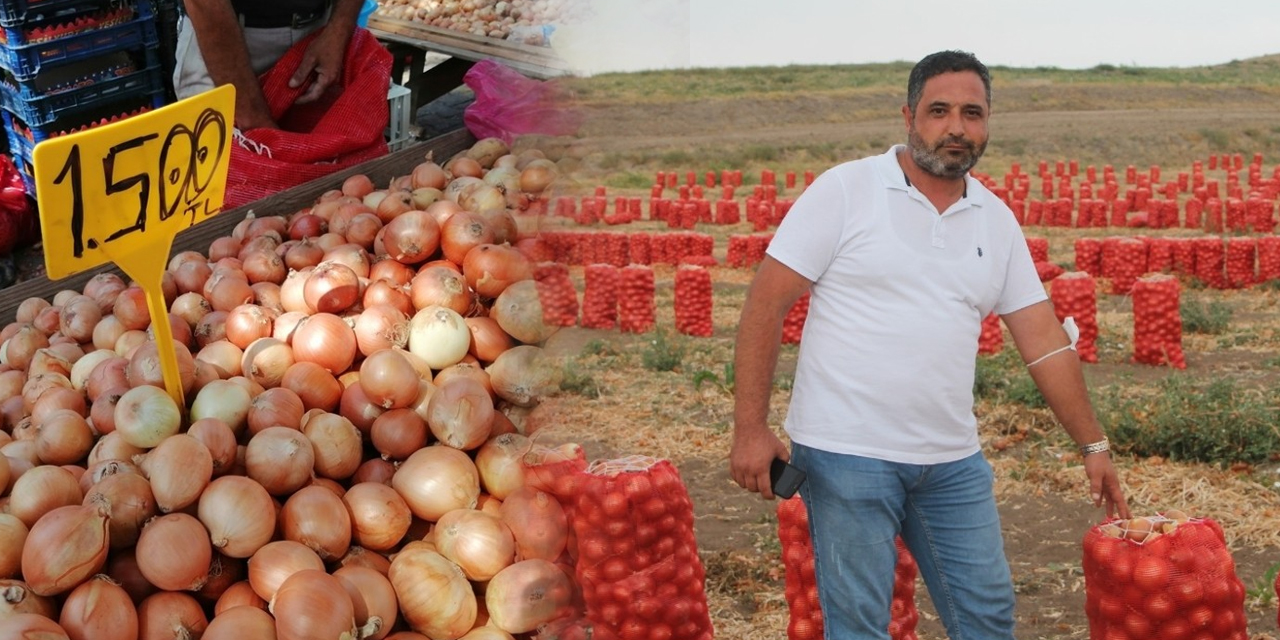 Soğan hasadı başladı! Tarlada 80 kuruş tezgahta 1,5 lira