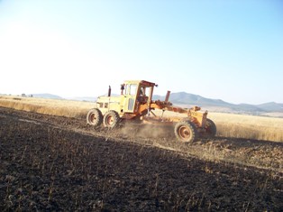 Beklenmeyen mevsim şartları verimi düşürdü