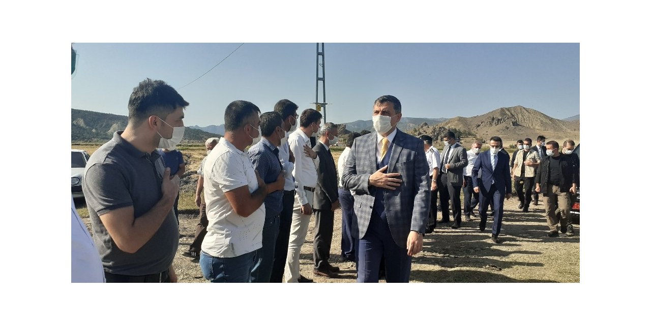 Çorum’un Osmancık ilçesinde çeltik hasadı sürüyor