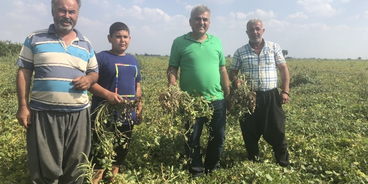 Toprağın altında da üstünde de milli servete dönüştü