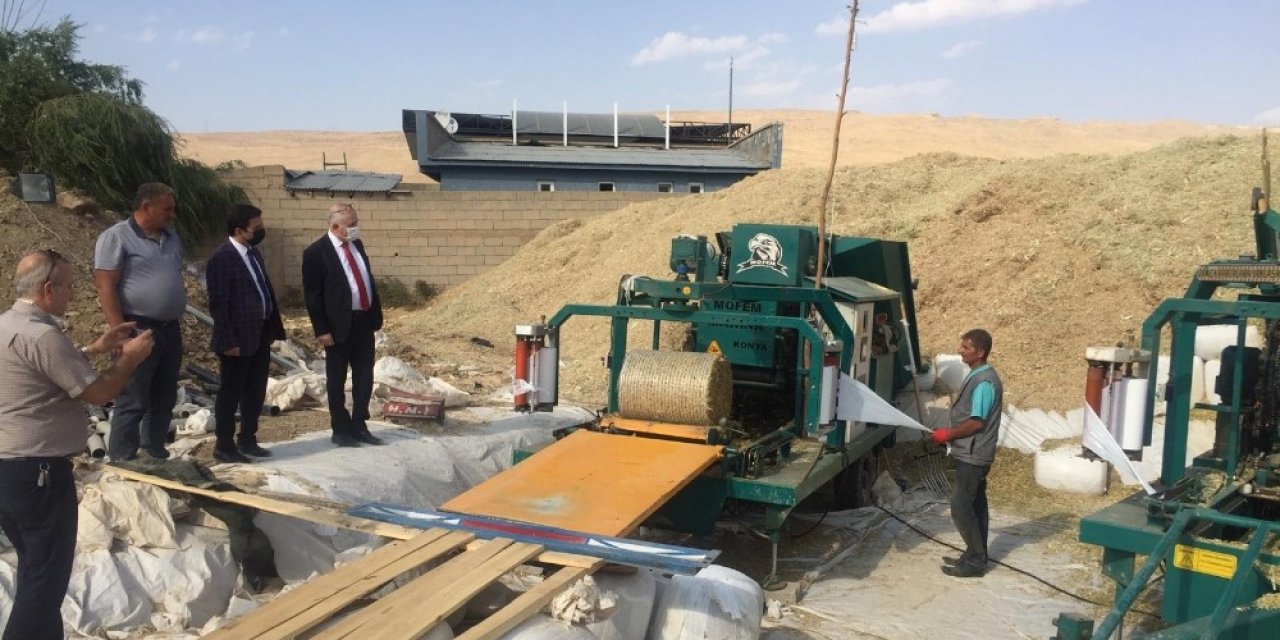 Van’da üretilen silajlık mısırda ilk defa paketleme işlemi yapıldı