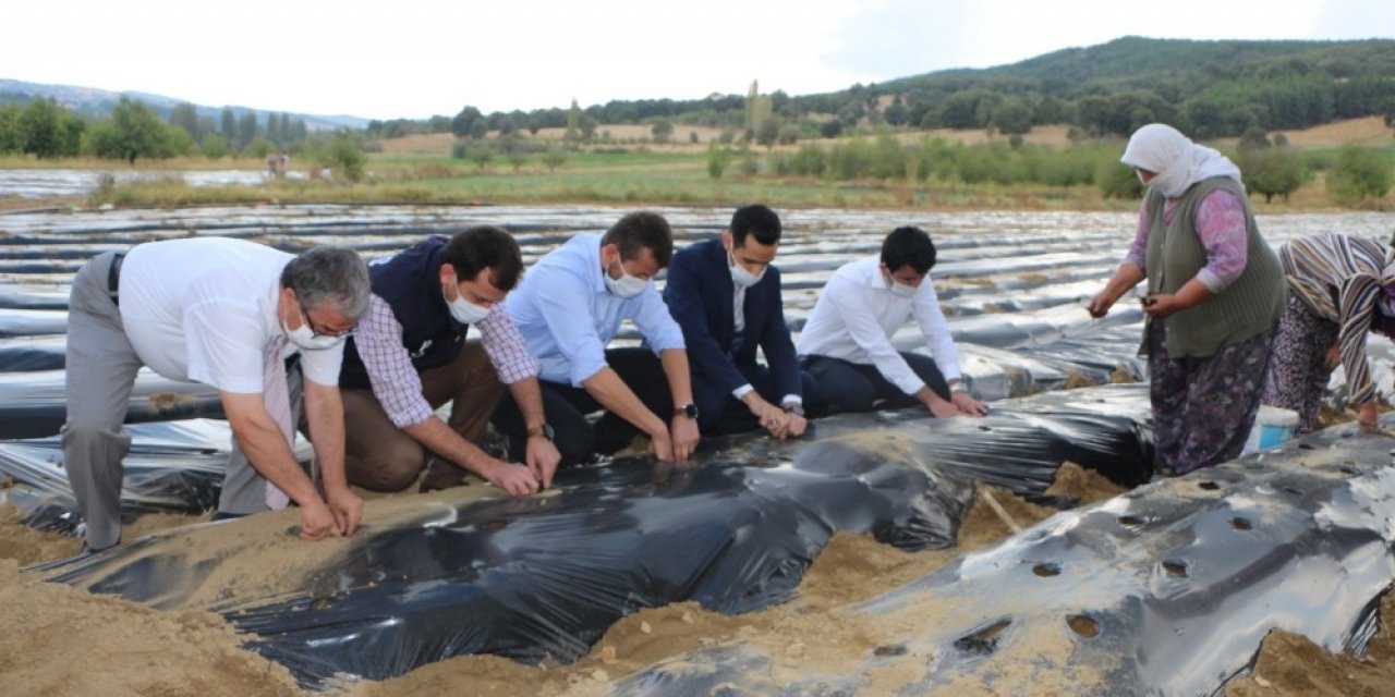 Kaymakam Soylu: "Amacımız üreticimize yeni gelir kaynakları oluşturmaktır"