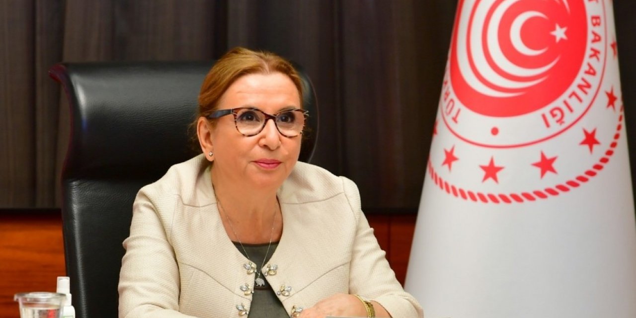 Ticaret Bakanı Pekcan’dan G20 Ticaret ve Yatırım Bakanları Toplantısı’nda işbirliği mesajı