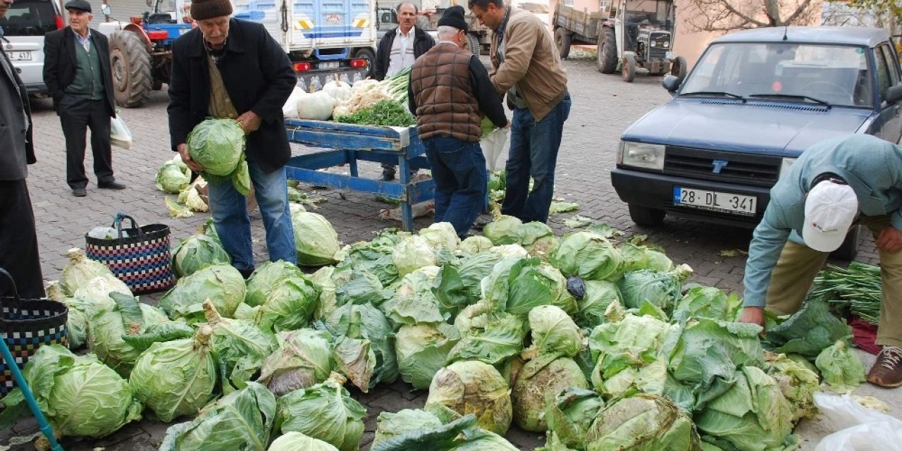 Pancar üretimi yüz güldürecek