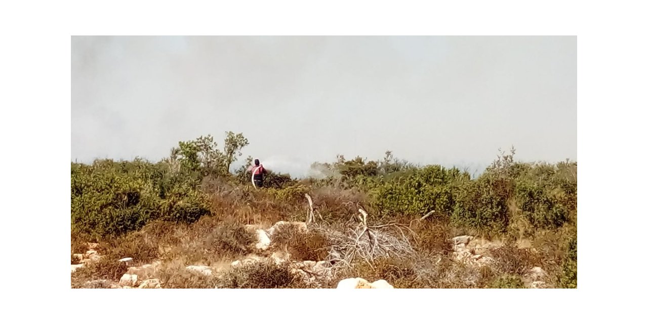 Didim’de makilik alanda yangın çıktı