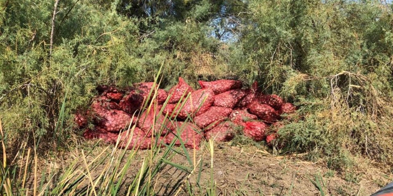 Edirne'de kaçak 5 ton kum midyesi ele geçirildi