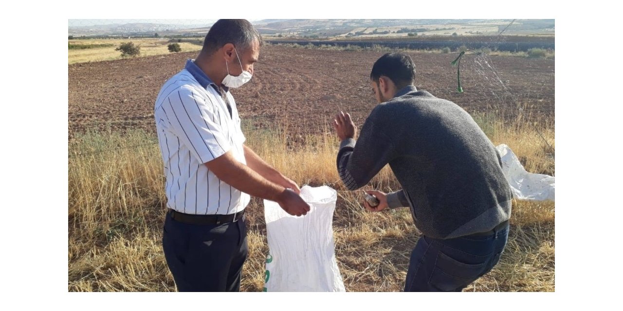 Elazığ’da ağ ve cihazla kaçak avlanan 5 şahıs yakalandı