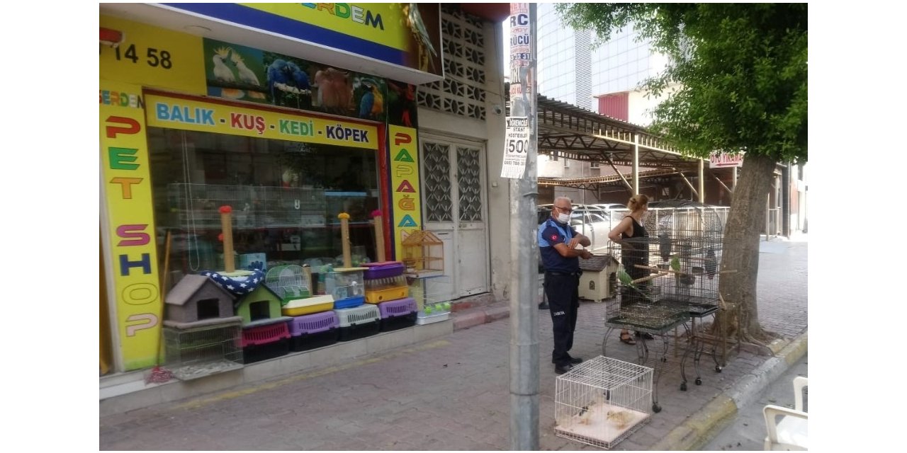 Akdeniz ilçesinde pet shoplar denetlendi