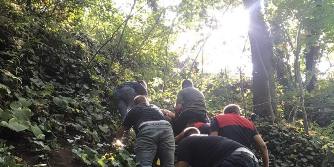 Kestane toplarken uçurumdan 25 metreden aşağıya yuvarlandı