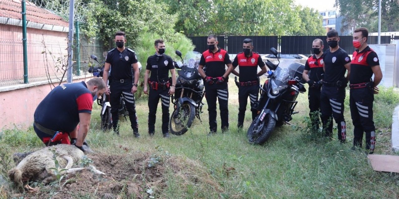 Göreve yeni başlayan Yunus timleri için kurban kesildi