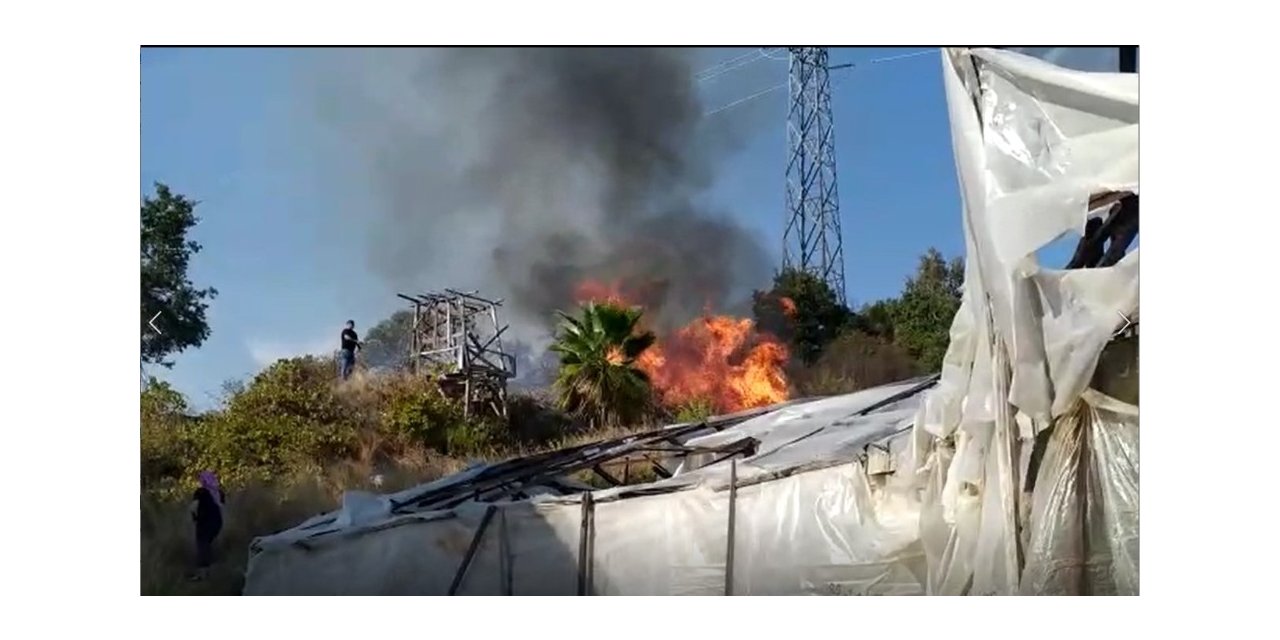 Alanya’da çalılık alanda yangın