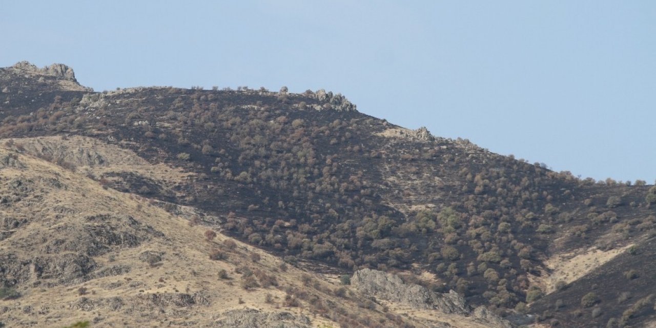 Elazığ’daki orman yangını söndürüldü