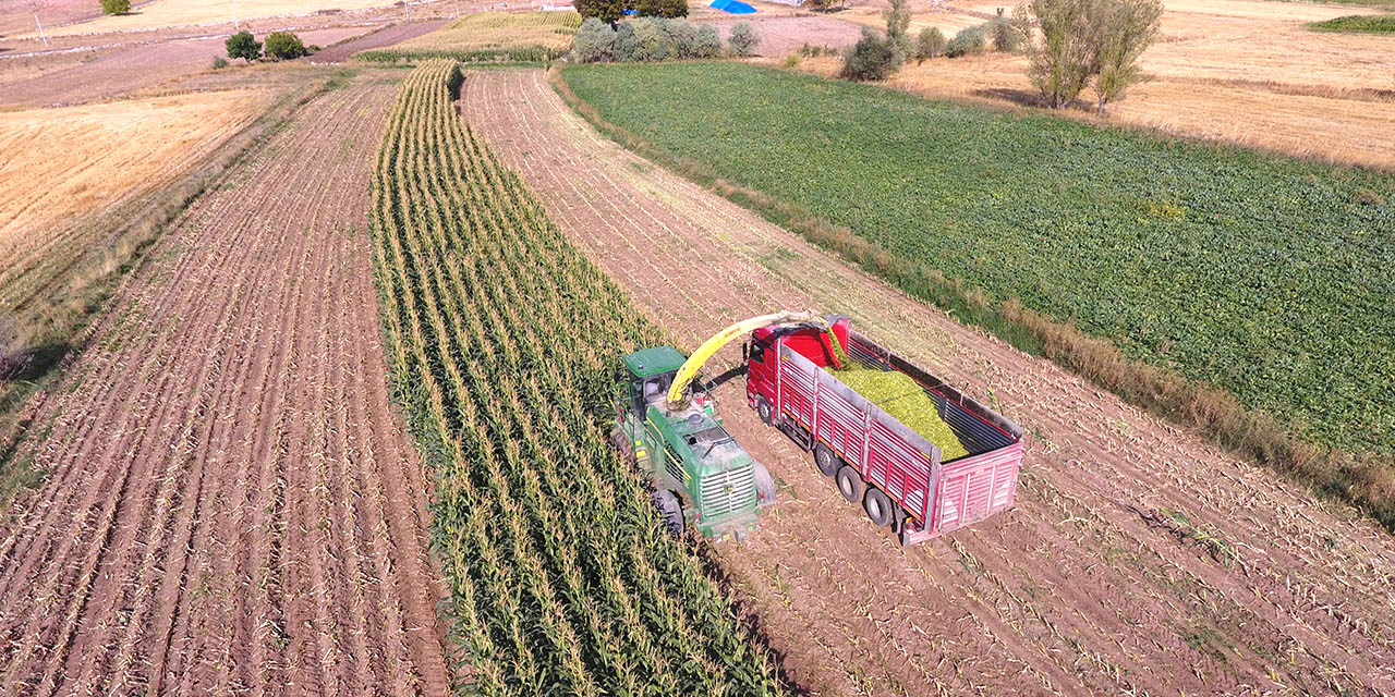 KOP meyvelerini veriyor! Hacıbektaş proje sahasında ikinci ürün hasadı yapıldı