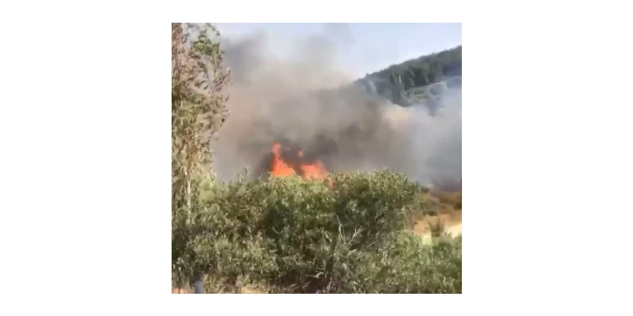 İzmir’de ormanlık alanda yangın
