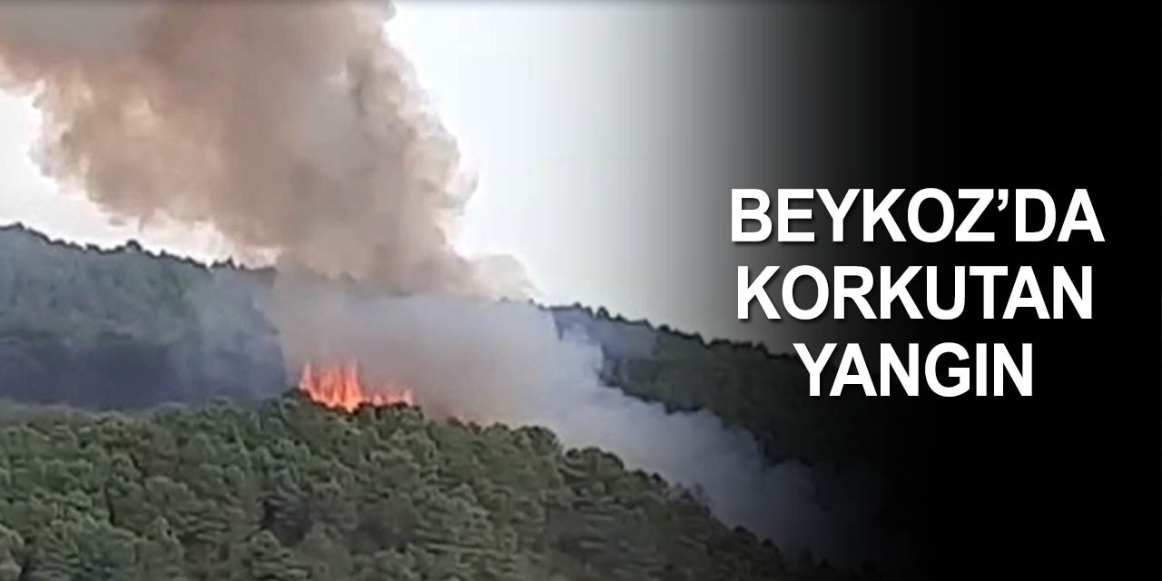 Beykoz Anadolu Hisarı’ndaki orman yangınına müdahale ediliyor