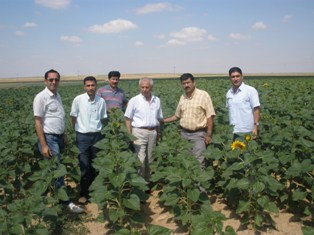 Sarayönü'nde ağaçlandırma çalışmaları