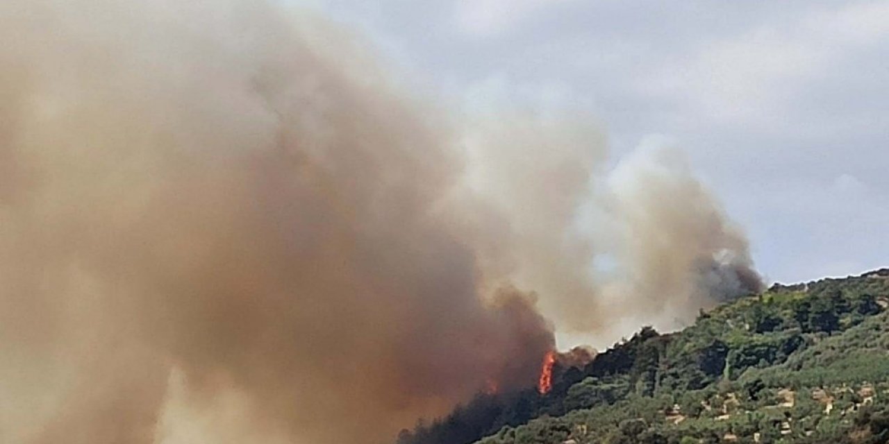 Bursa’da orman yangını