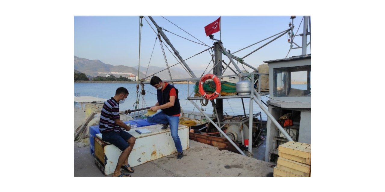 Mersin’de boy limitlerine uymayan balıklara el konuldu