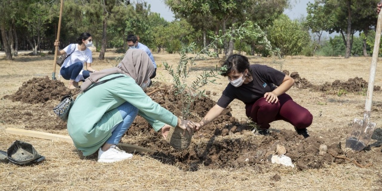 Mersin Büyükşehir Belediyesi, üniversiteyi kazanan gençler için zeytin fidanı dikti