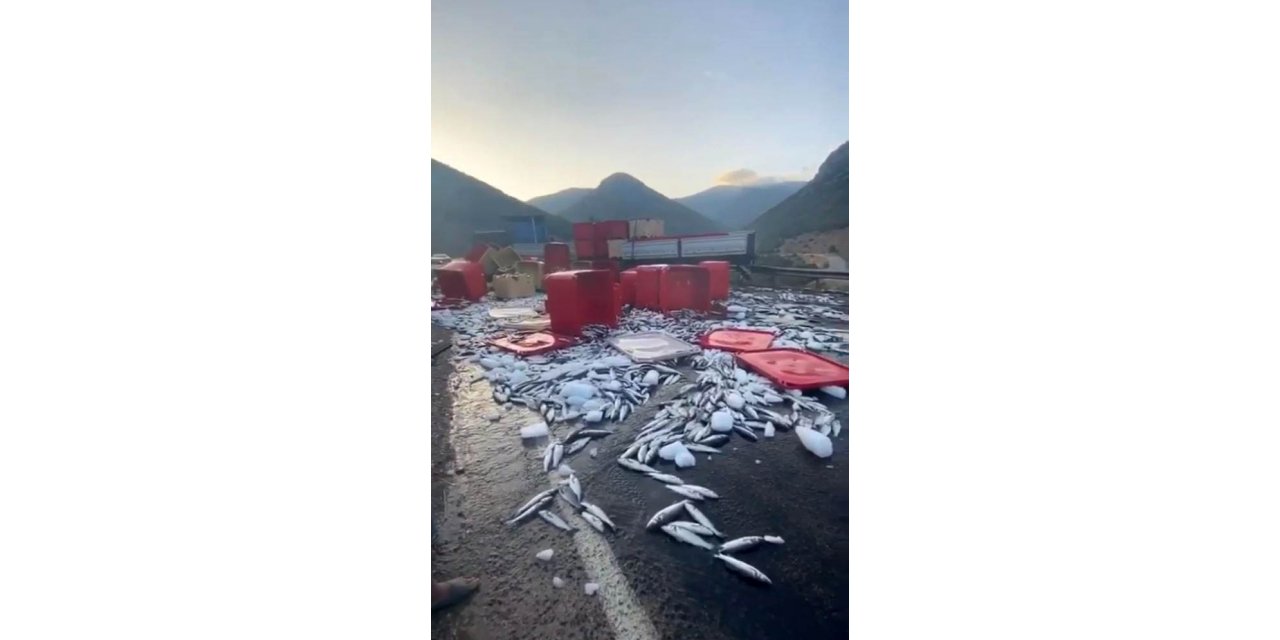 Dorse kapağı açıldı, tonlarca balık yola savruldu