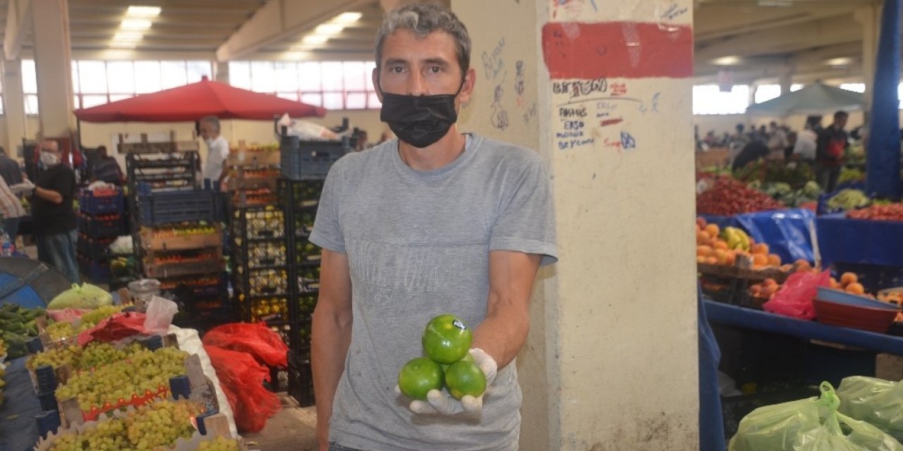 Bilecik’te mandalina tezgahlarda yerini almaya başladı