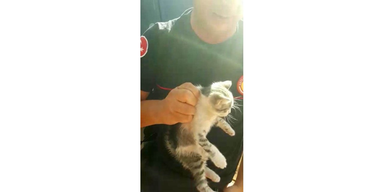 Sanatçı Sümer Ezgü’nün tatiline yaramaz kedi rötarı