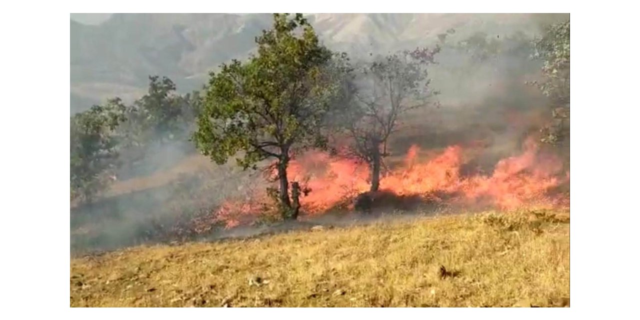 Elazığ’da orman yangını