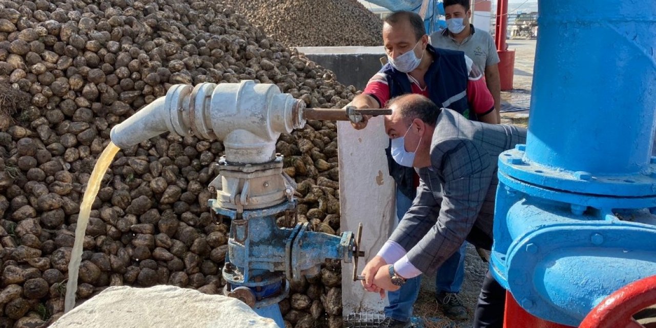Şeker pancarında 90 günlük tatlı yolculuk başladı