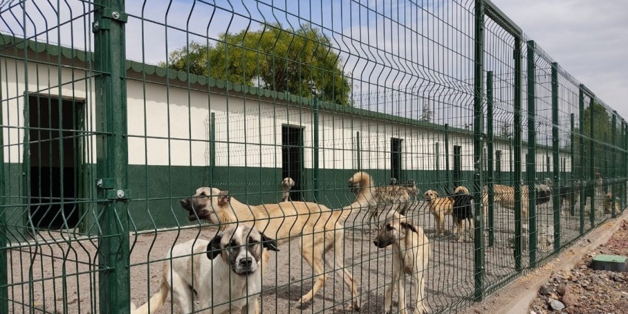 Sincan Geçici Bakım Evi ve Rehabilitasyon Merkezi yakında hizmete girecek