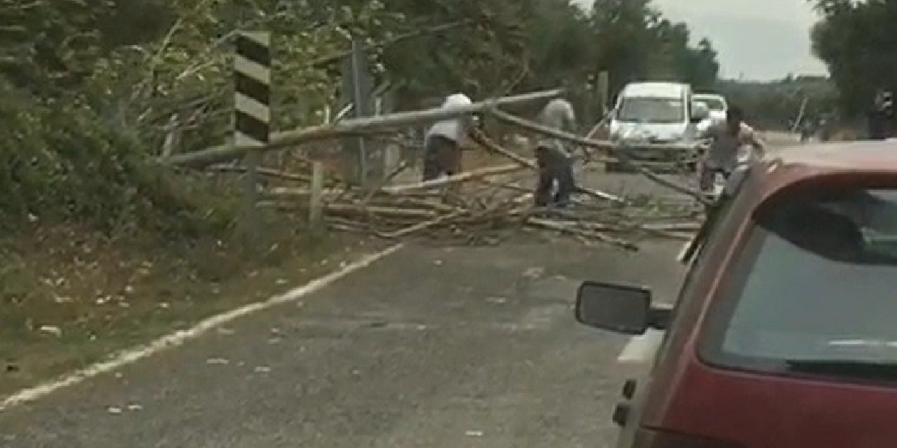 Bursa’da rüzgar ağaçları devirdi, yol trafiğe kapandı