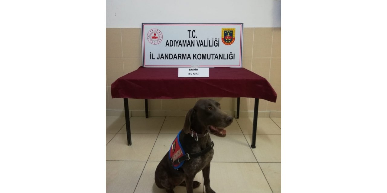 Jandarma uyuşturucu satıcılarına göz açtırmıyor