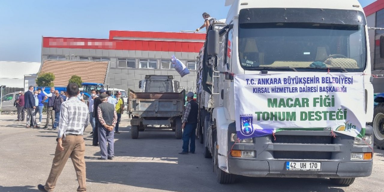 Başkentte 25 ilçenin toprağı tohumla buluşuyor
