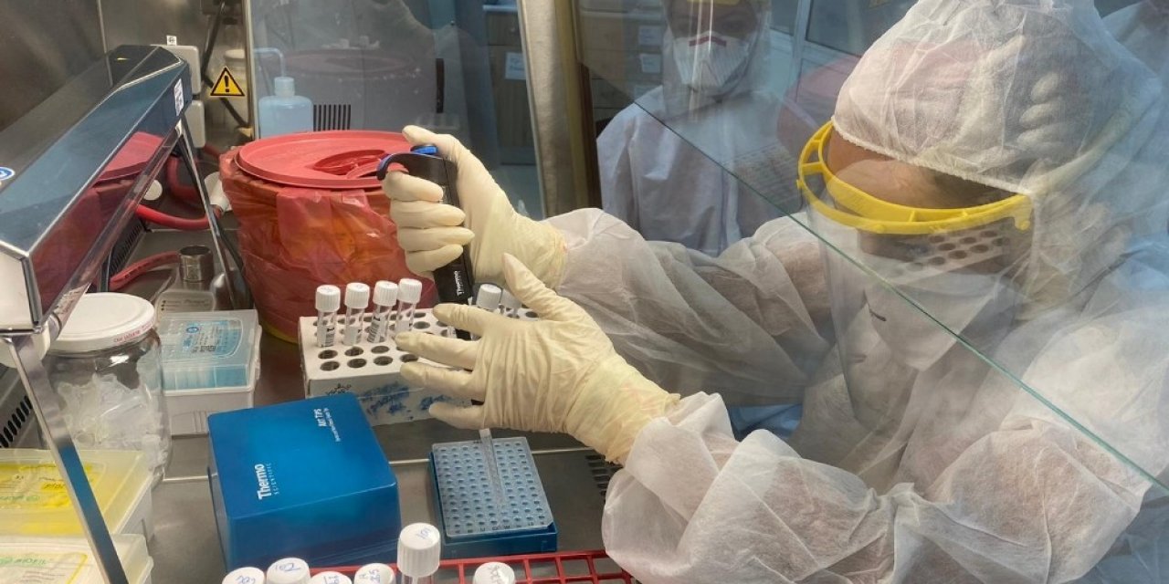 “Burun spreyi güvenli ve hücrelere zarar vermiyor”