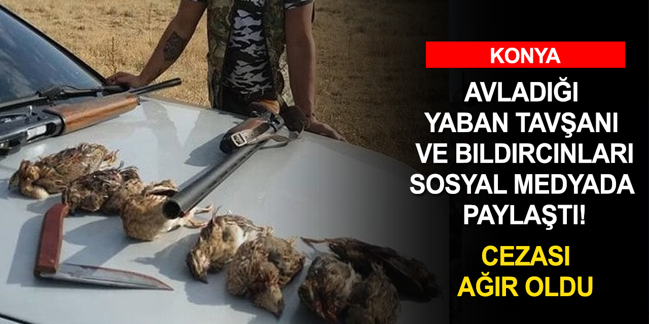 Konya'da avladığı hayvanları sosyal medyada paylaştı! Cezadan kaçamadı