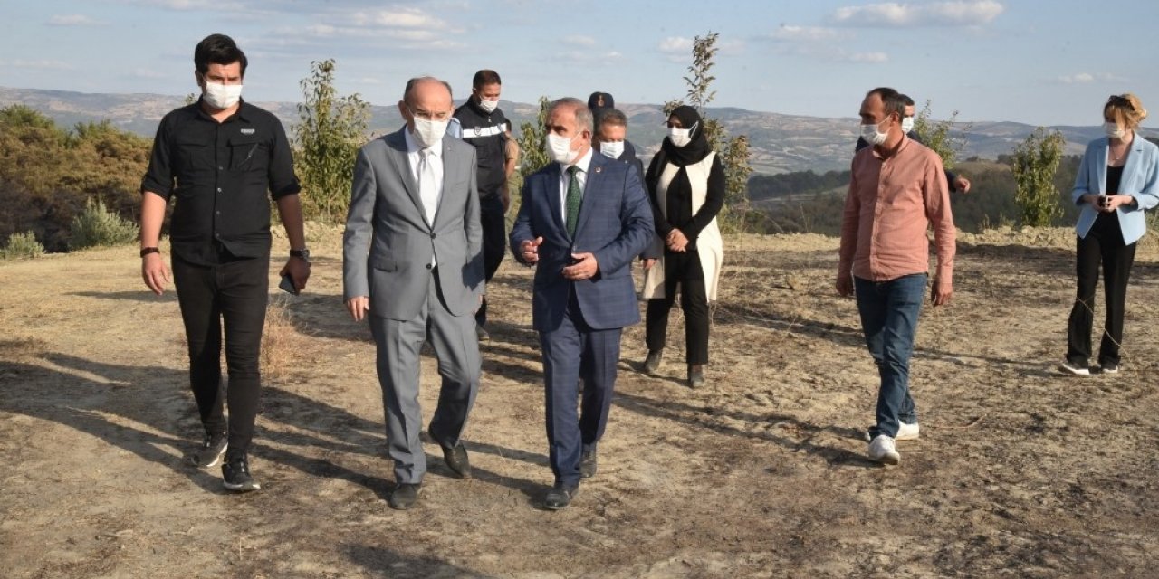 Vali Karadeniz yangın bölgesinde incelemelerde bulundu