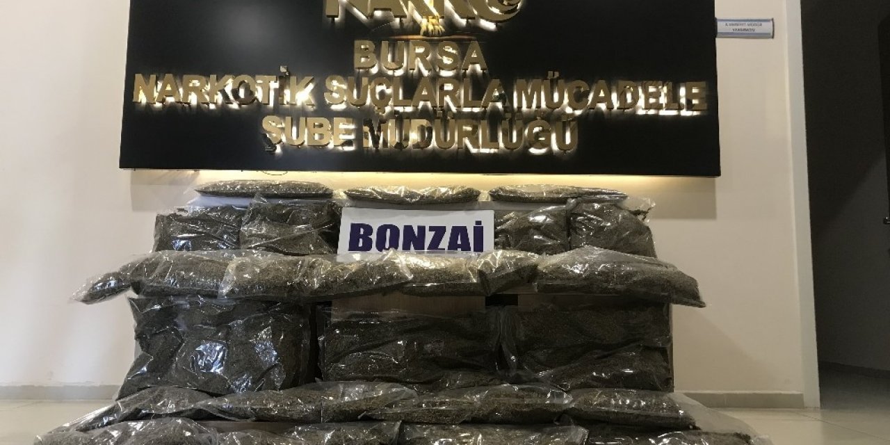 Bursa’da yapılan uyuşturucu operasyonunda 31 kilo bonzai ele geçirildi