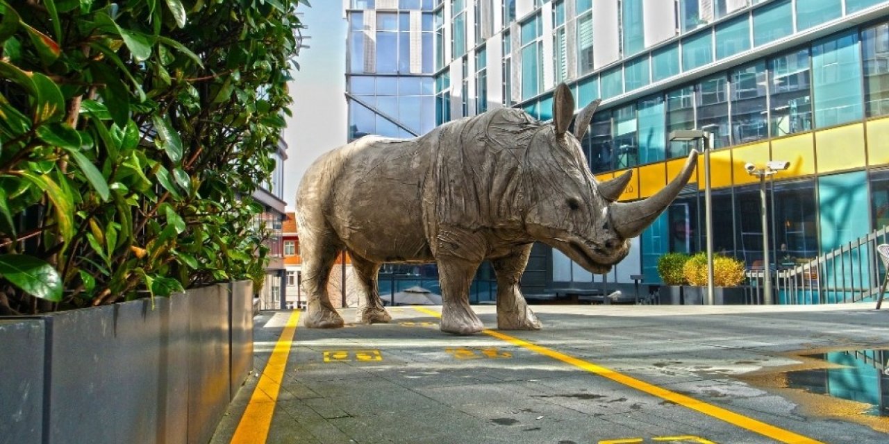 Rhinos Bac in Town sergisi Ataşehir’de
