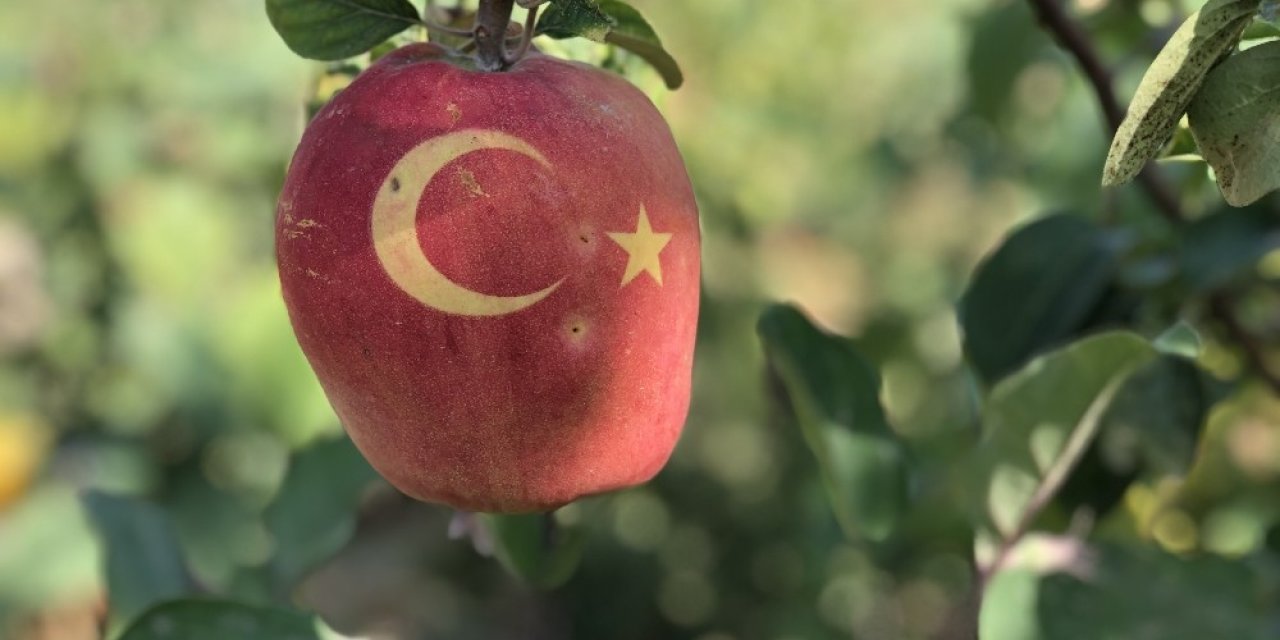 Bu ayvayı gören hayrete düşüyor