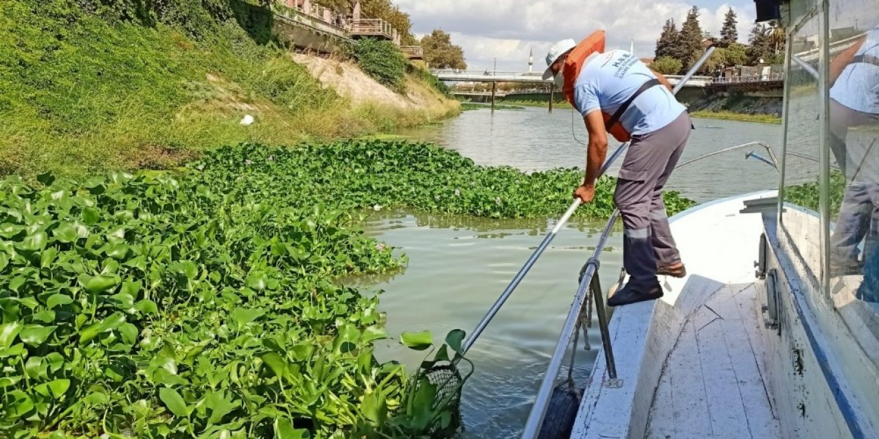 Su canavarları bariyerle önlenecek