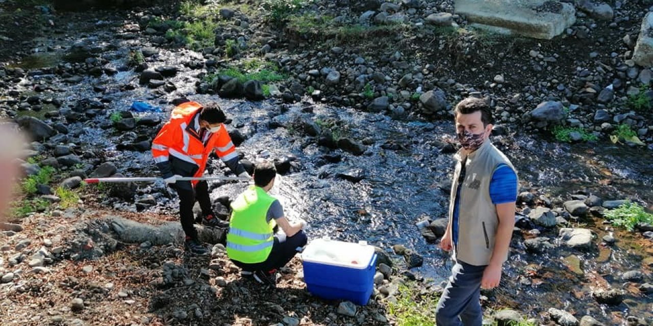 Efteni gölünü besleyen derelerden numune alındı