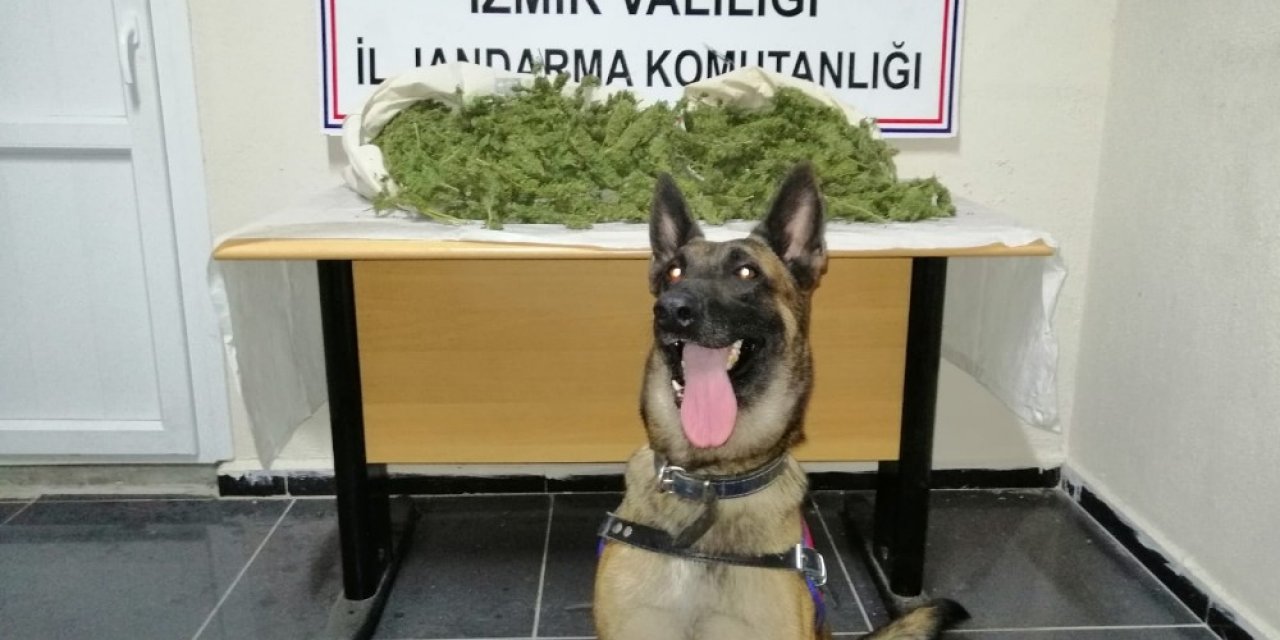 İzmir’de 8,5 kilogram uyuşturucu ele geçirildi