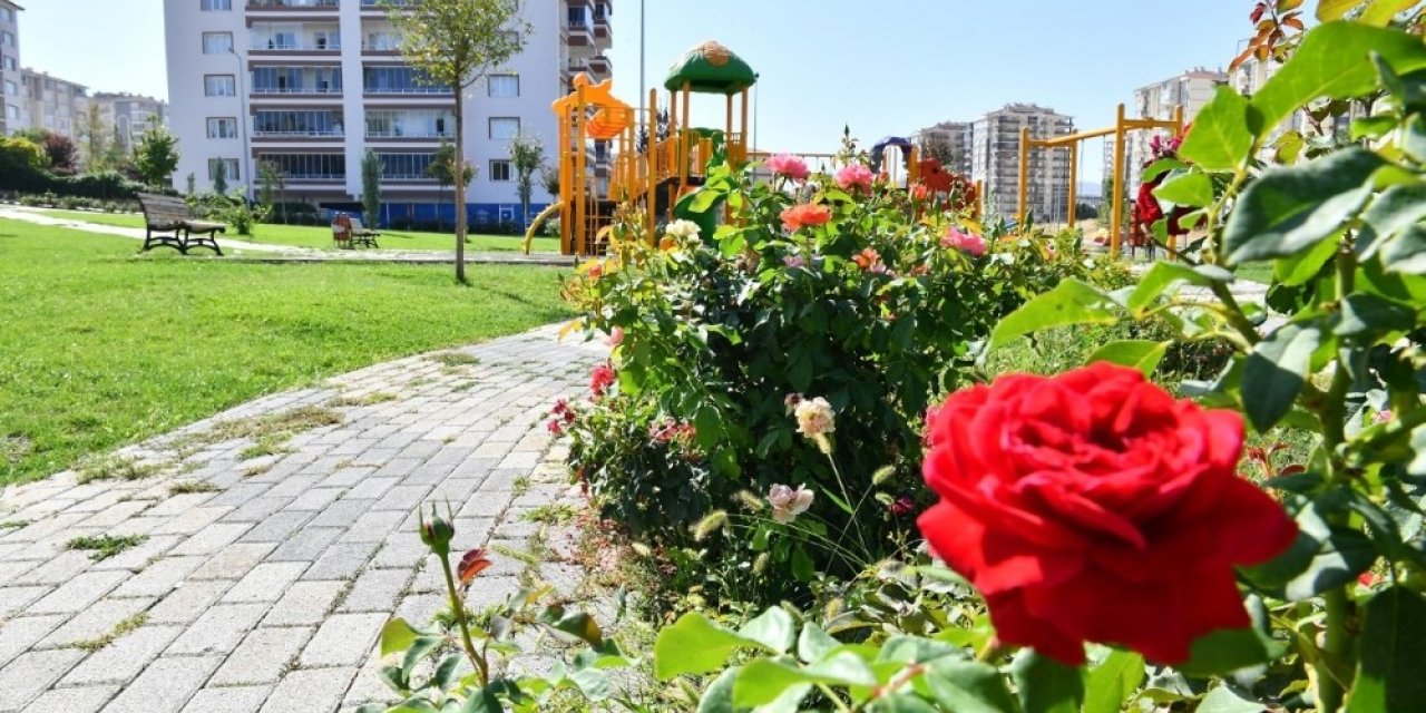 Yeşilyurt renklendi