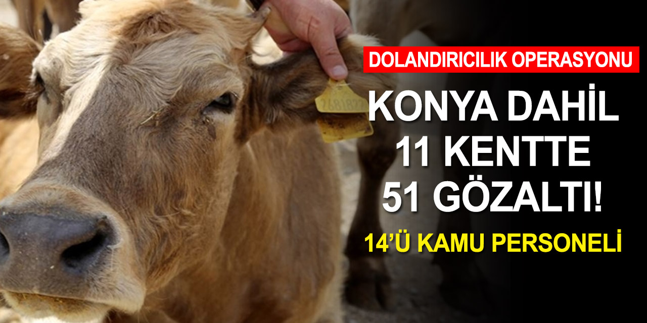 11 ilde kamu kurumlarını dolandıran 51 kişi gözaltına alındı