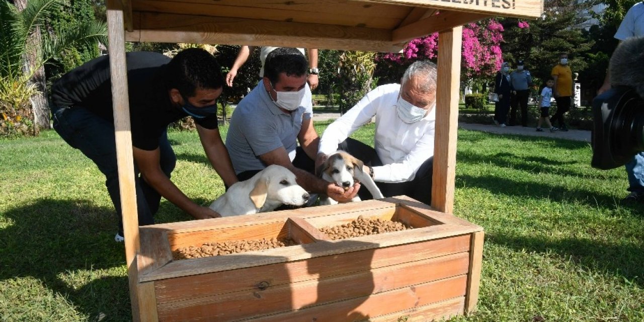 Adana’da parklara mamalık ve suluk yerleştirildi