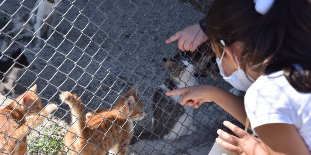 Minikler barınakta hayvanlarla bir gün geçirdi
