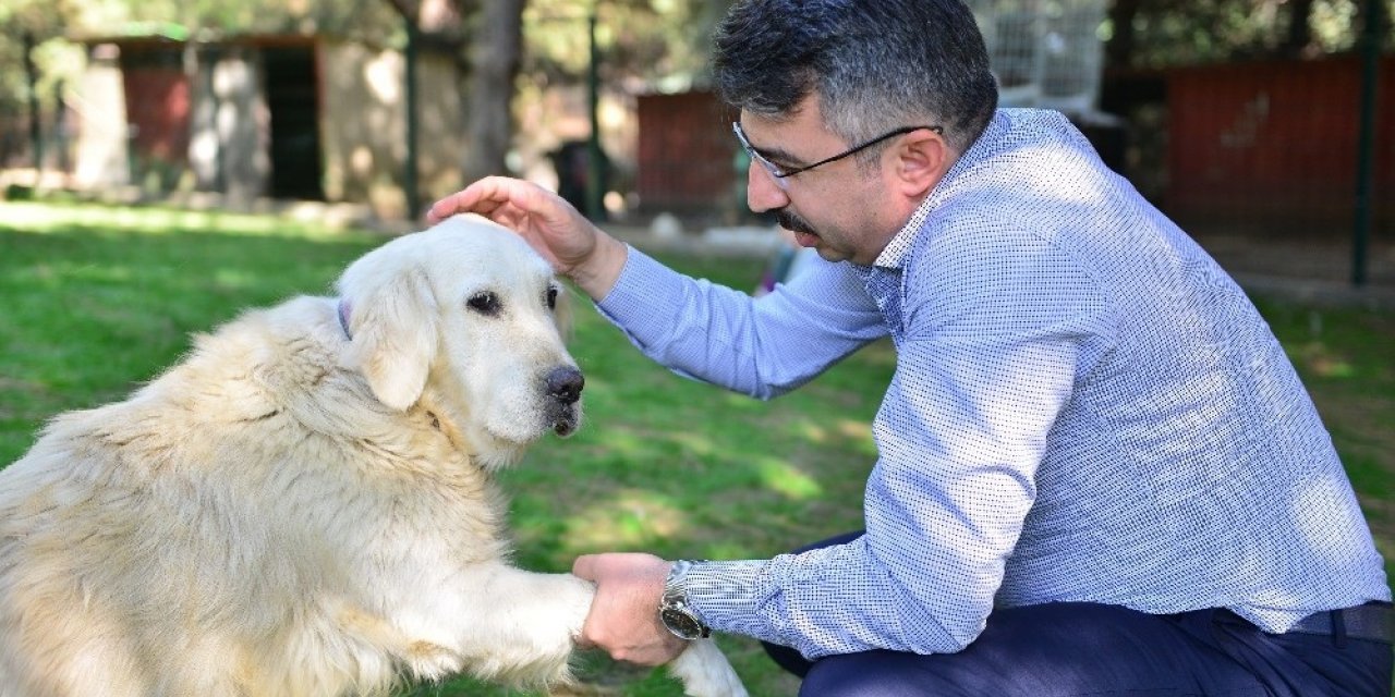 Başkan Yılmaz, ‘can dostları’ sahiplendirdi